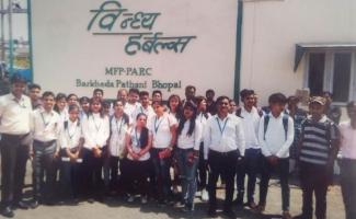 Industrial visit in Vindh Harbals 