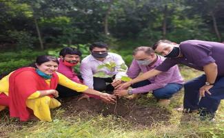 Tree Plantation on Environment Day