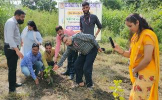 Medicinal tree plantation at Bhabha University