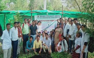 Botanical garden with students and staff